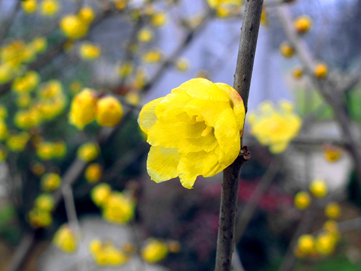 2013.01.30ĥɽͽ11.jpg