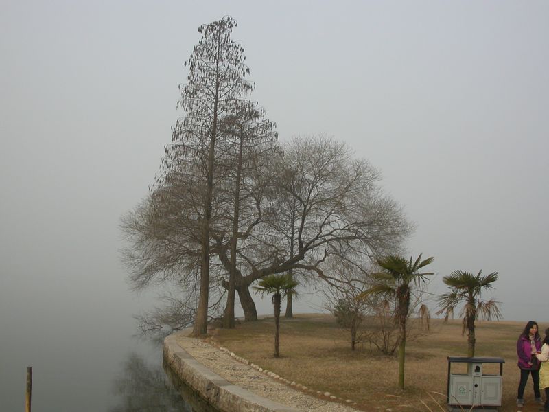 dscn8498.jpg
