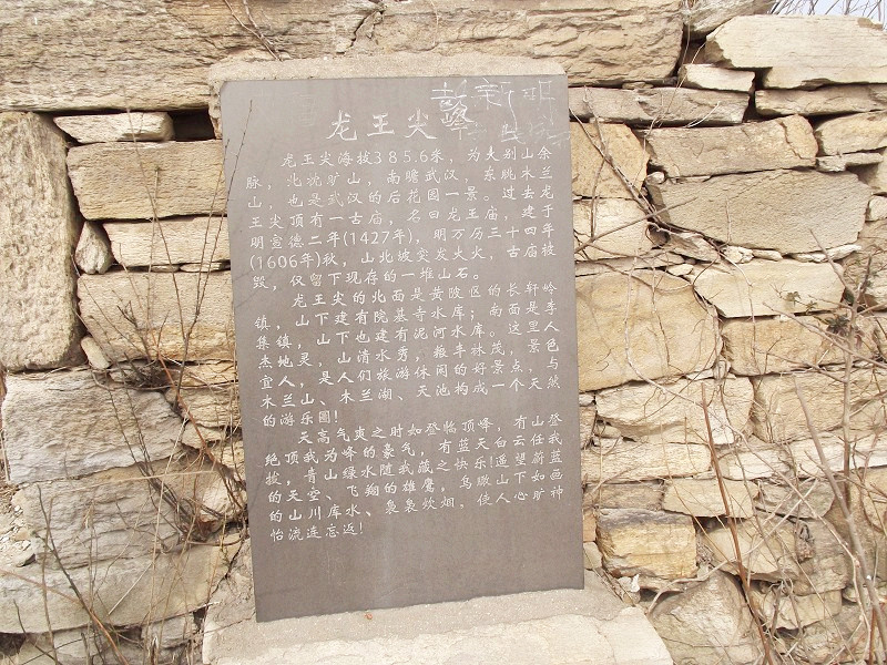 psbcag66uet_.jpg