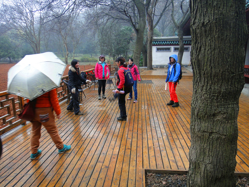 dsc08549_.jpg