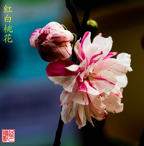 img_5468_��С��С.jpg