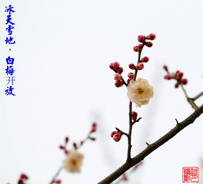 img_5603_��С��С.jpg