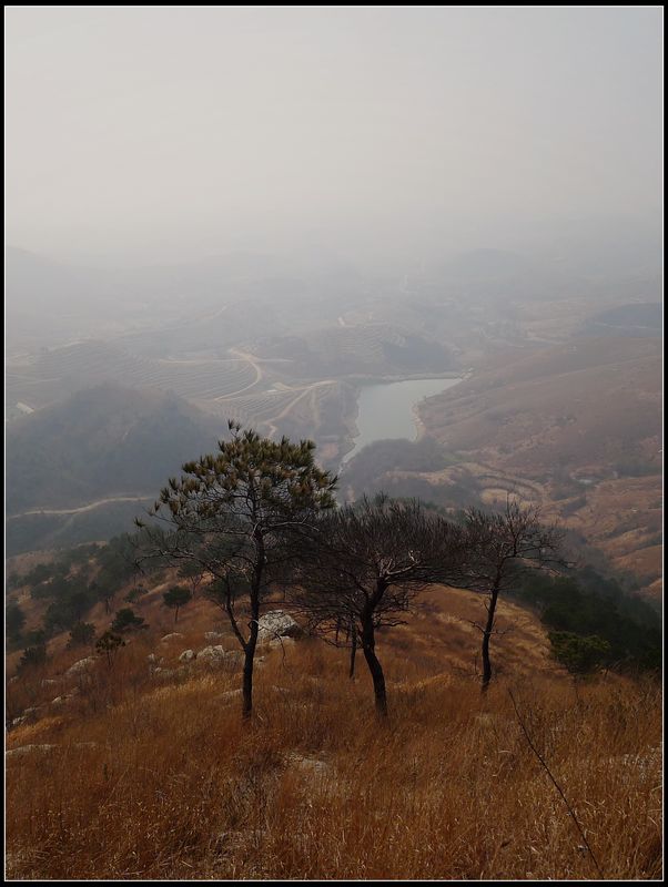 羰2.jpg