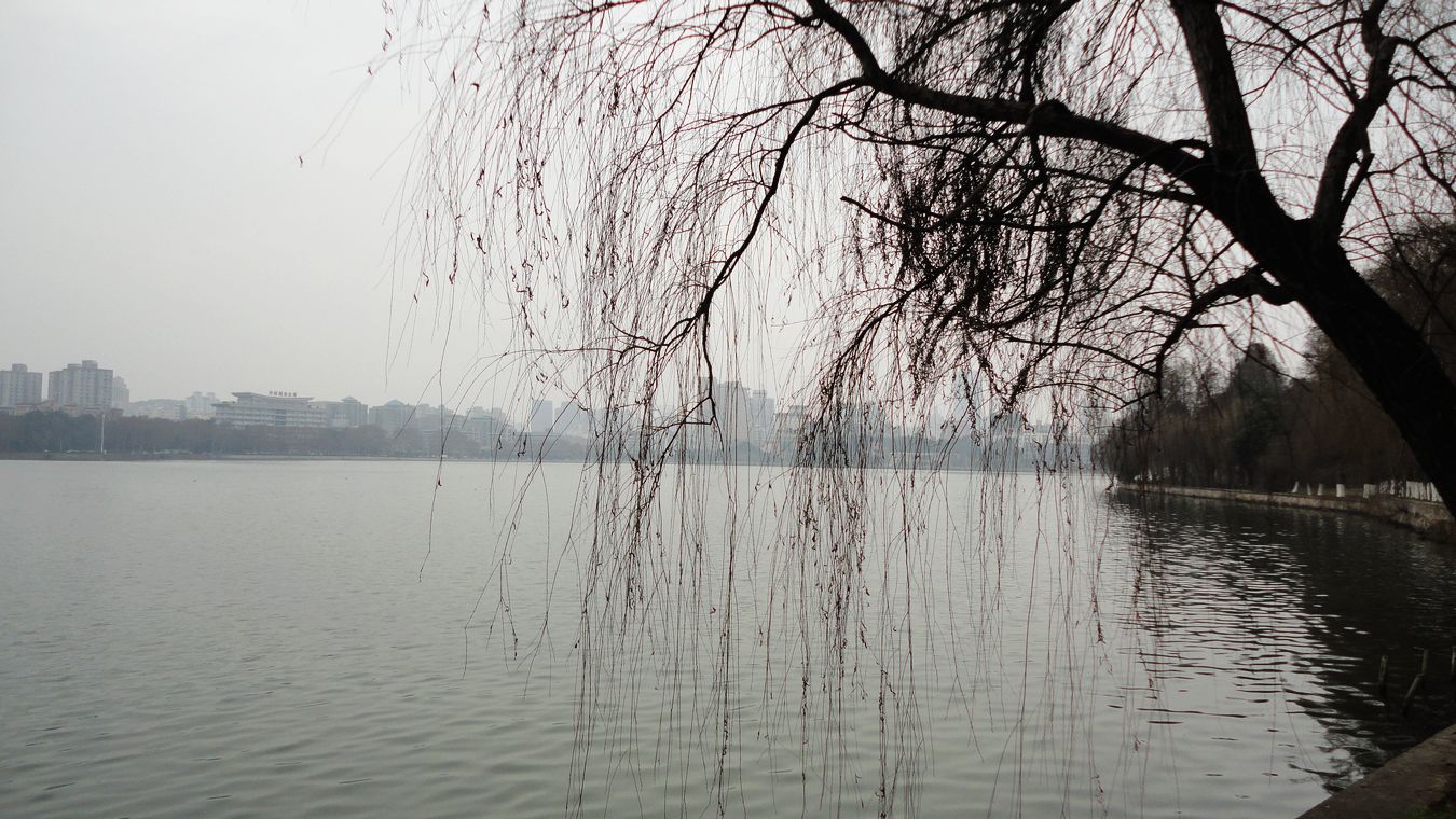 neo_img_dsc01390.jpg