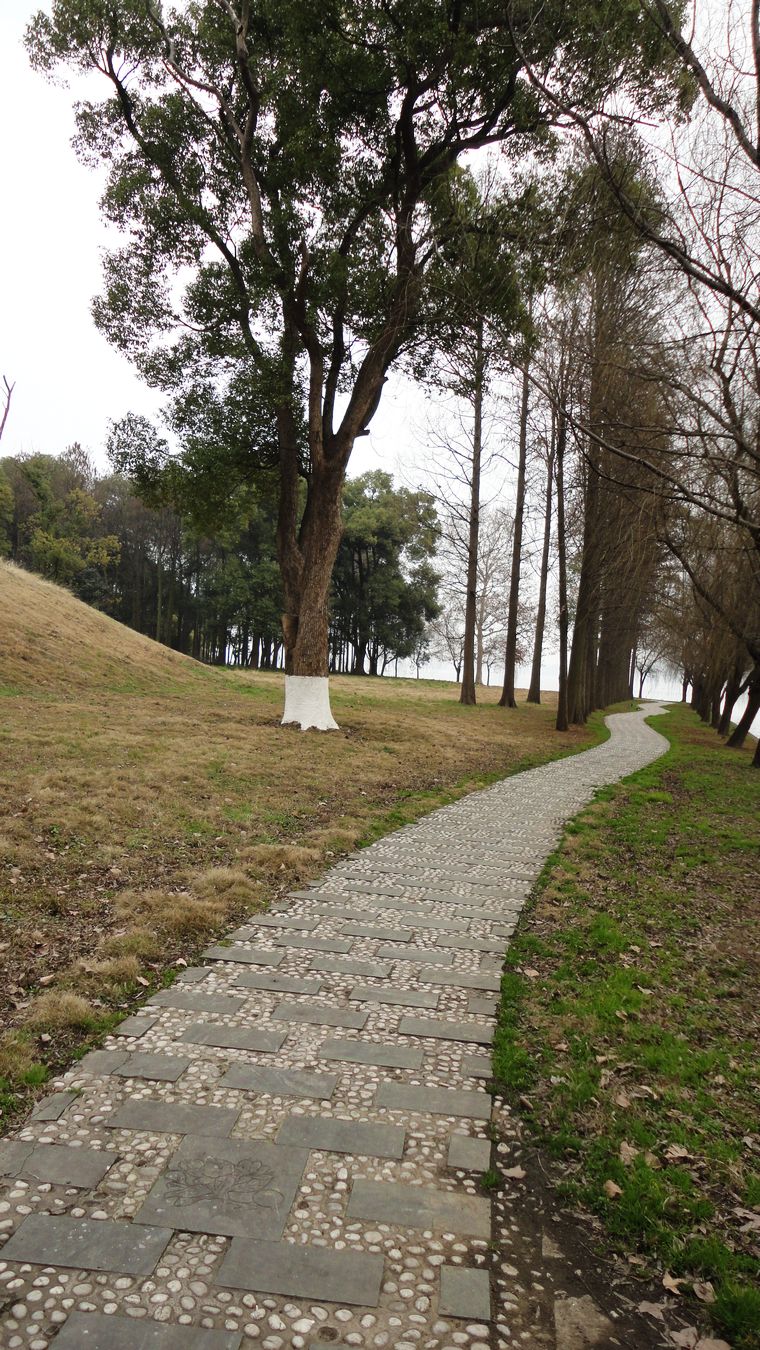 neo_img_dsc01391.jpg