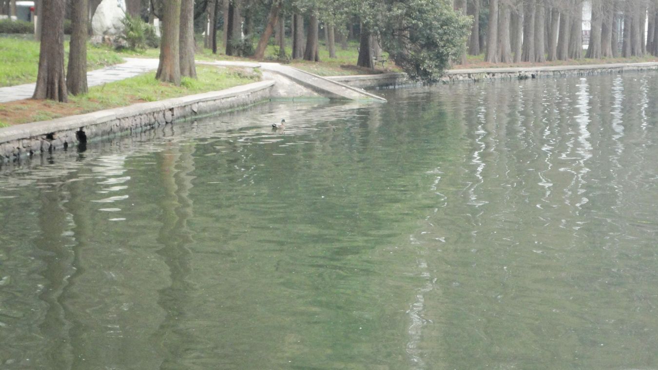 neo_img_dsc01422.jpg