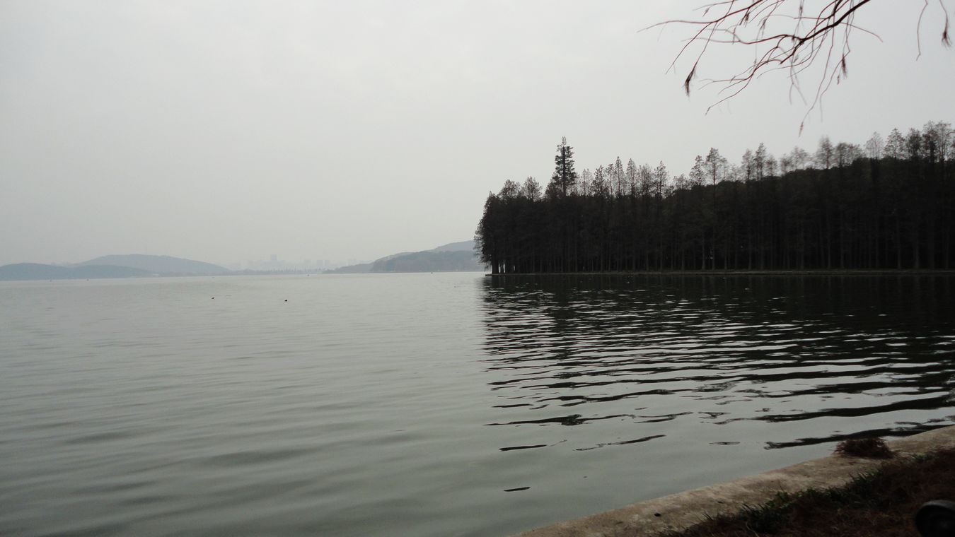 neo_img_dsc01436.jpg