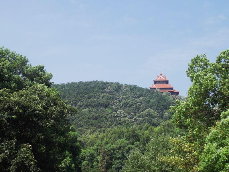 dscf5166.jpg
