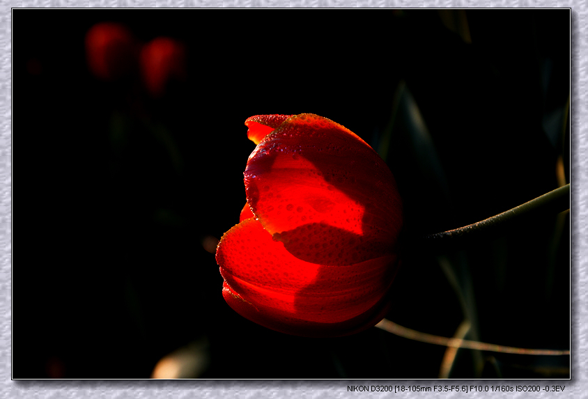 dsc_2949.jpg