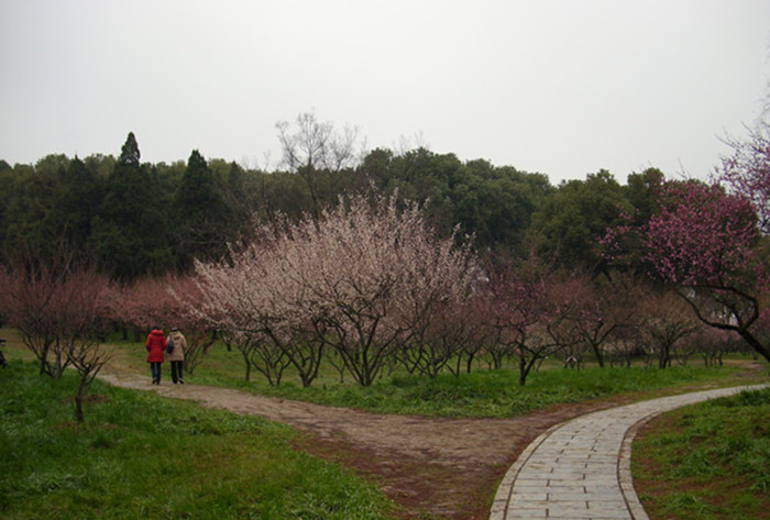 dsci2212.jpg