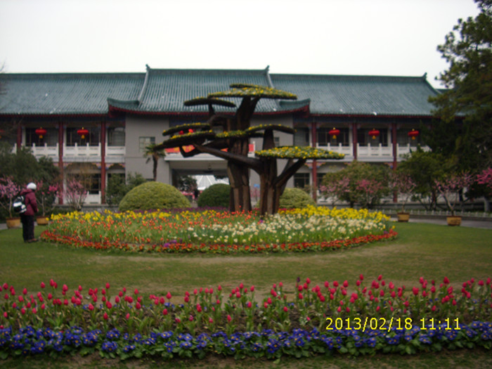 dsci2184.jpg