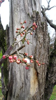 img_1976.jpg