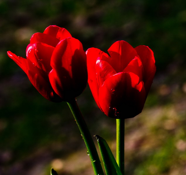 img_6402_��С��С.jpg