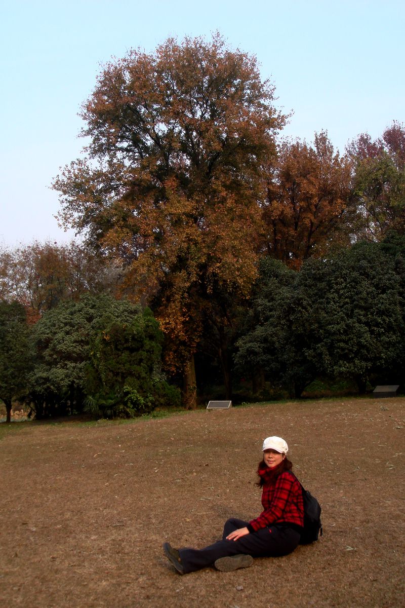 dsc05239.jpg