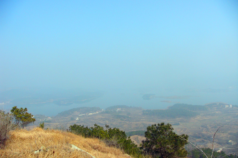 dsc09313_.jpg