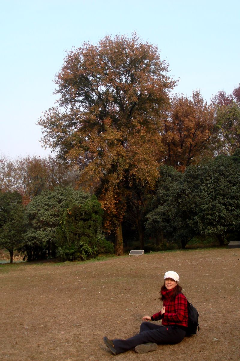 dsc05238.jpg