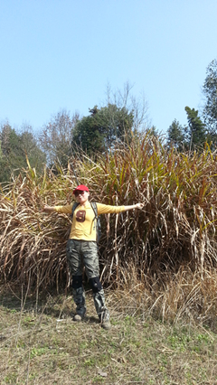 c360_2013-02-23-11-33-26-863_org_.jpg