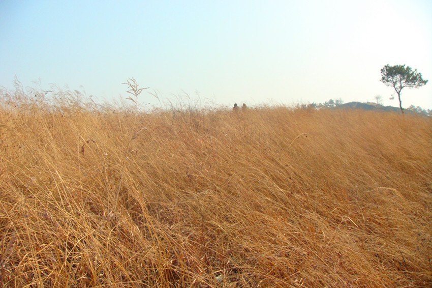 dsc09328_.jpg