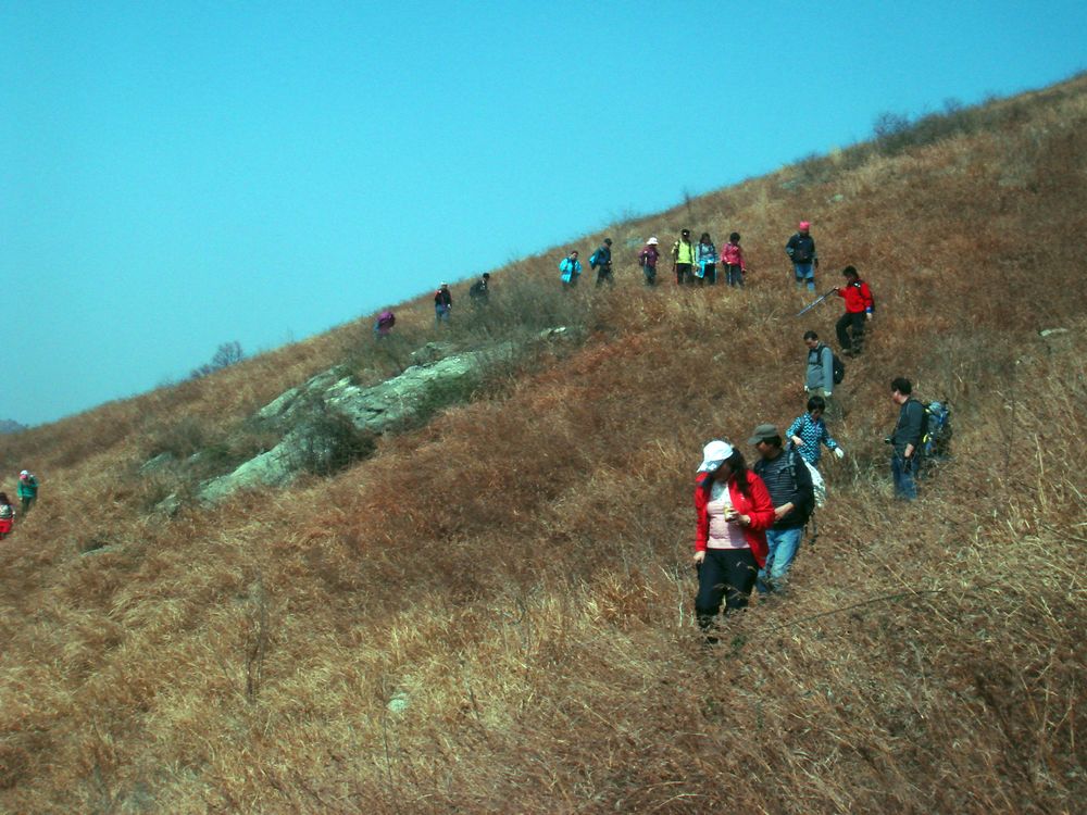 dsc01784.jpg