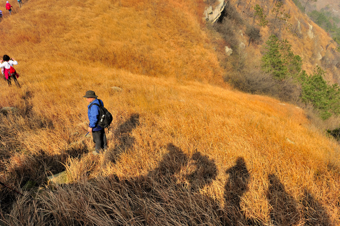 _dsc6770.jpg