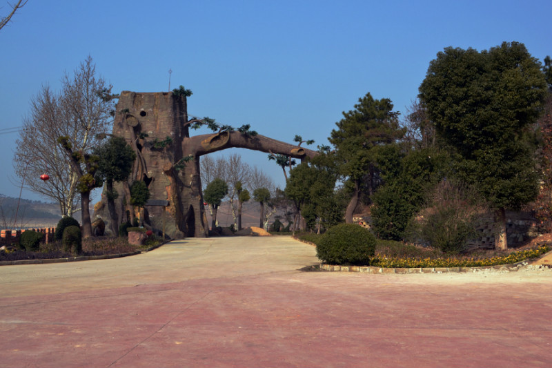 800.jpg