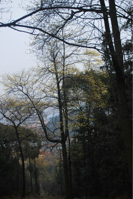 800.jpg