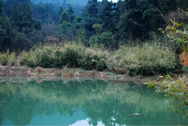 800.jpg