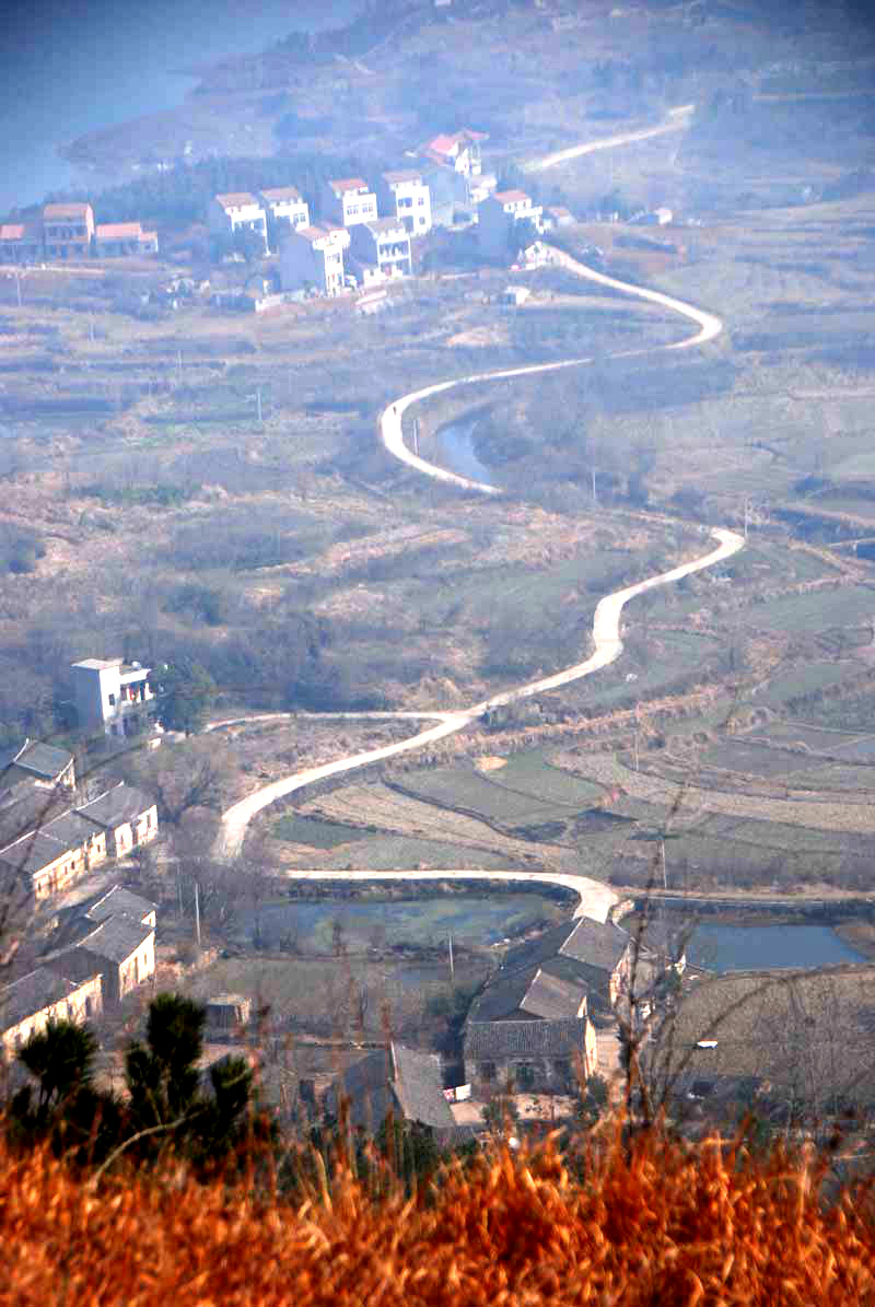 39.jpg