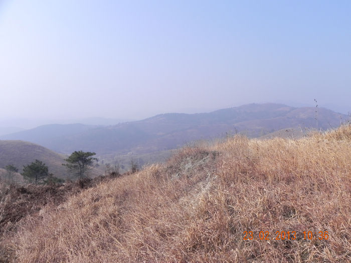 dscn3520.jpg