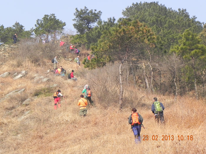dscn3517.jpg