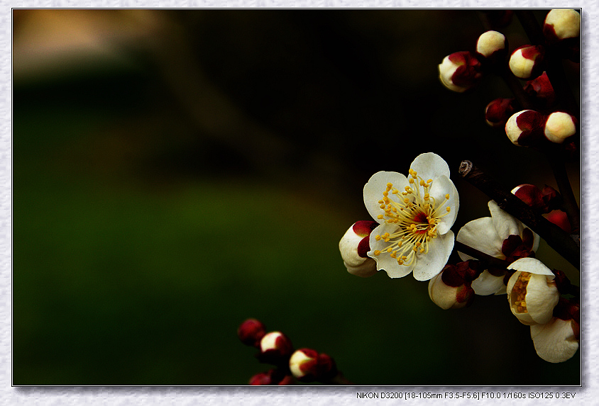 dsc_3174.jpg