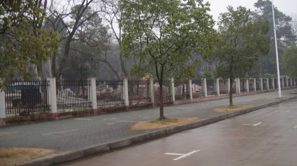 76.jpg