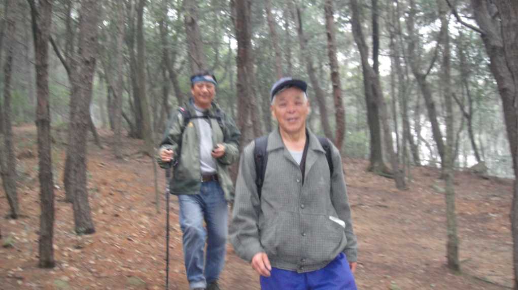 87.jpg