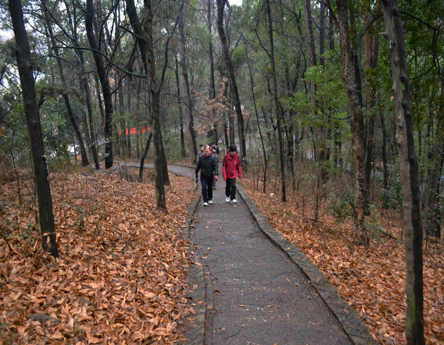 dsc_0035.jpg