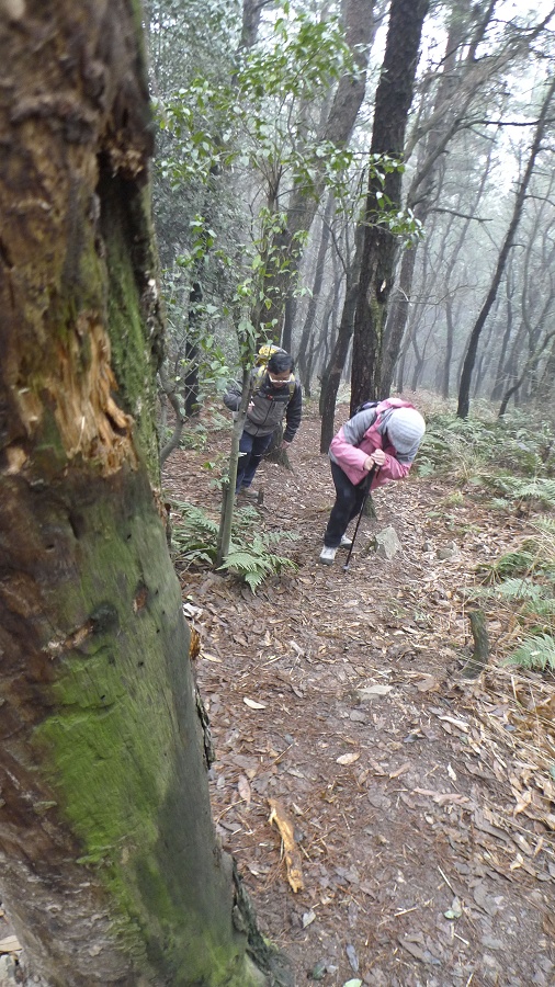 p1100903.jpg