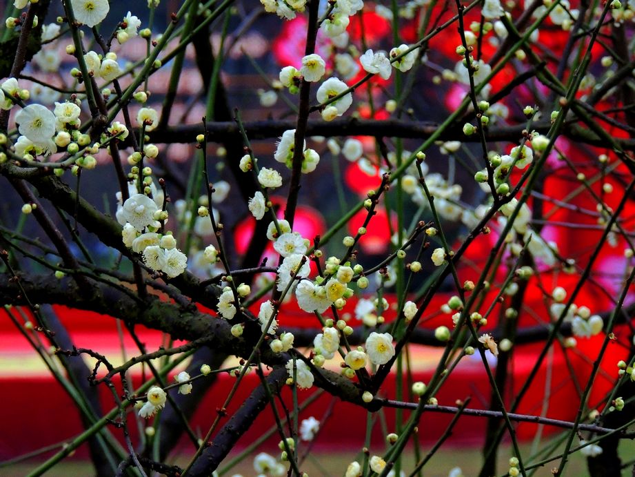 dscn2209.jpg