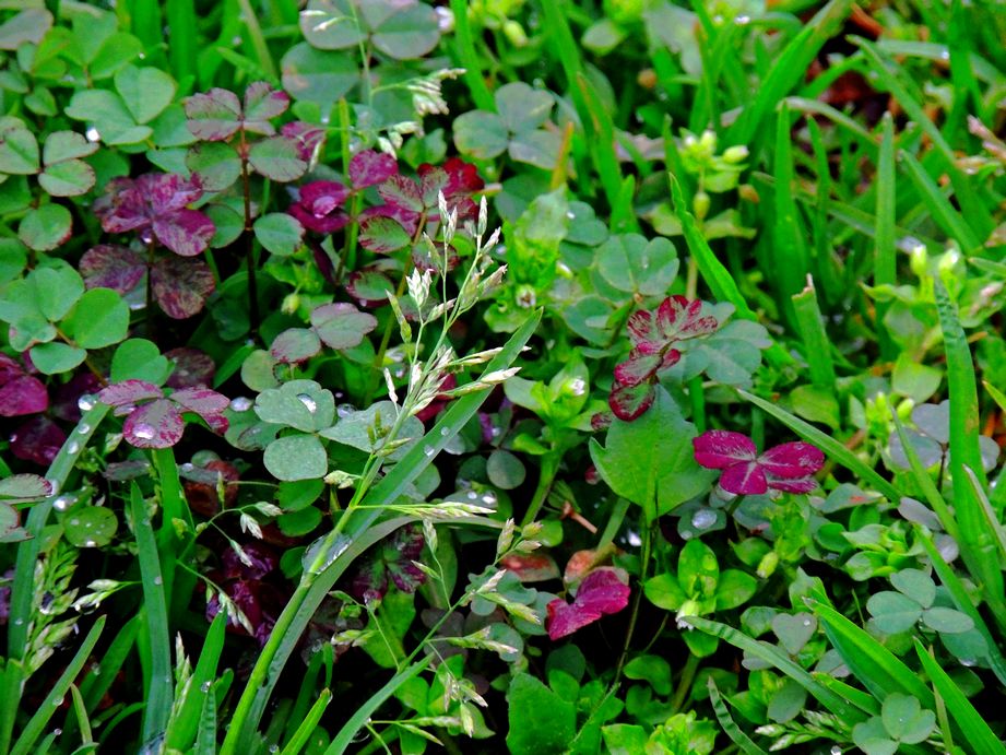 dscn2174.jpg