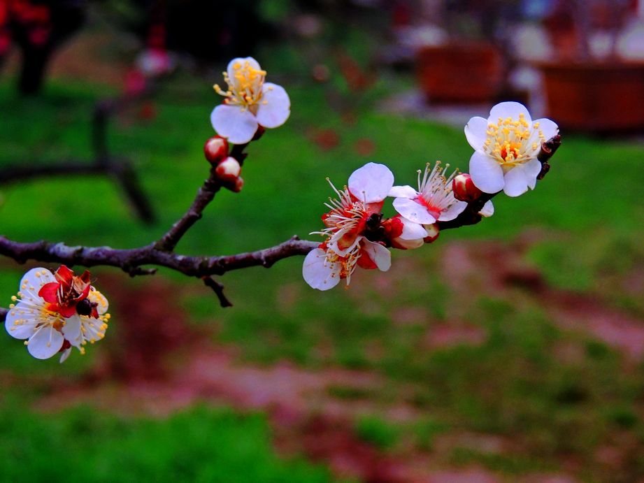 dscn2189.jpg