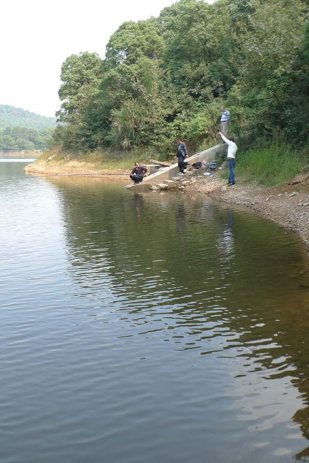 p1060930.jpg