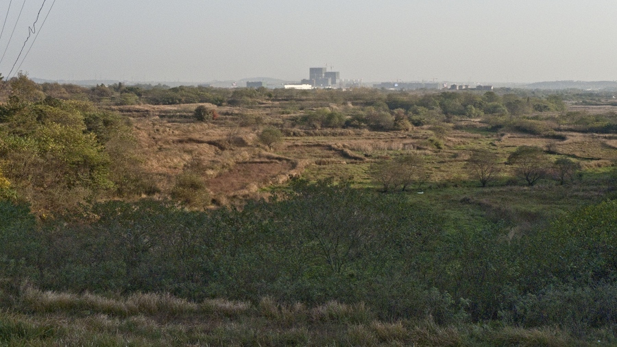 p1010862.jpg