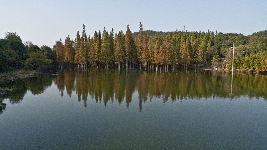 p1010830.jpg