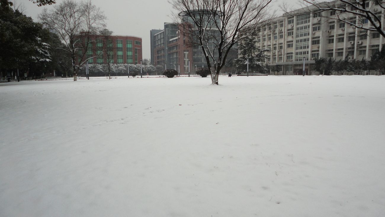 neo_img_dsc01339.jpg