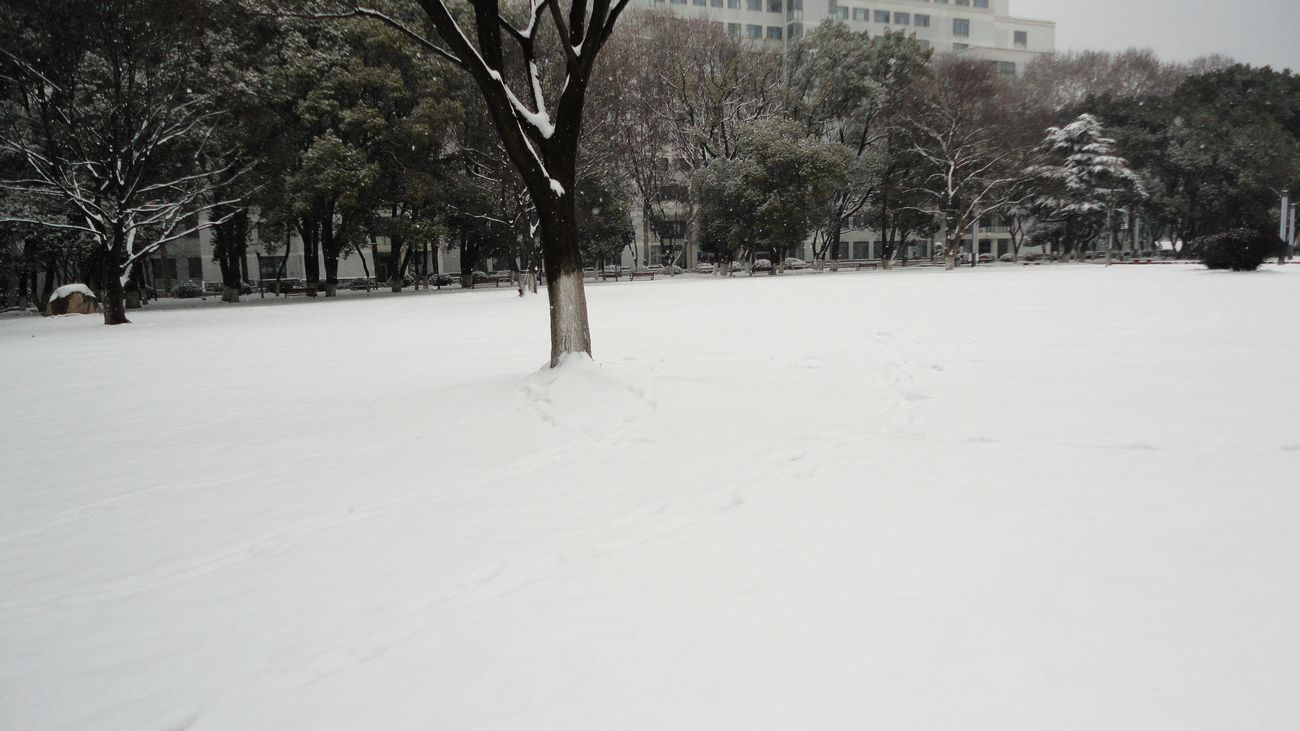 neo_img_dsc01341.jpg