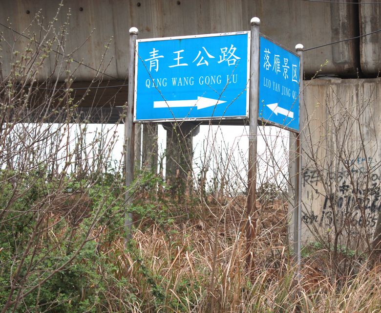 neo_img_img_4713.jpg