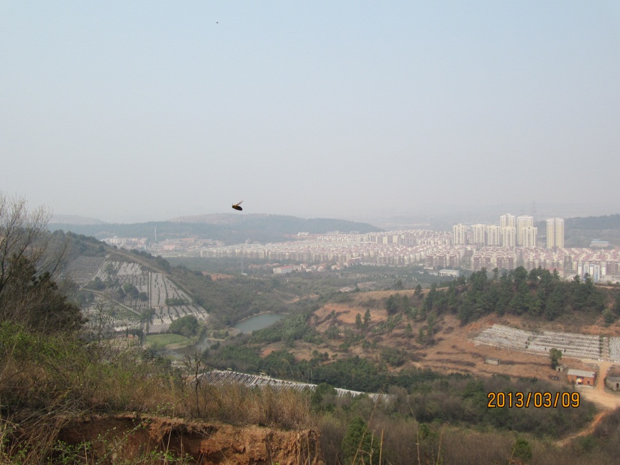 img_8345.jpg