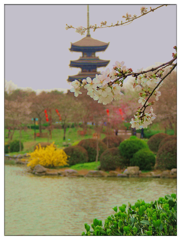 dscn3943_.jpg