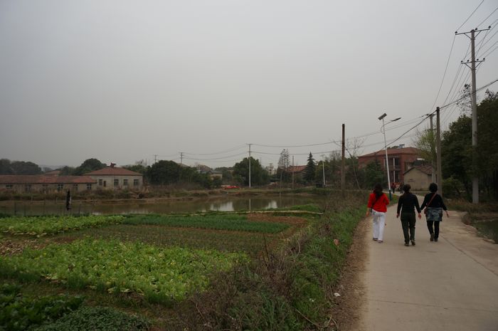 dsc01086.jpg