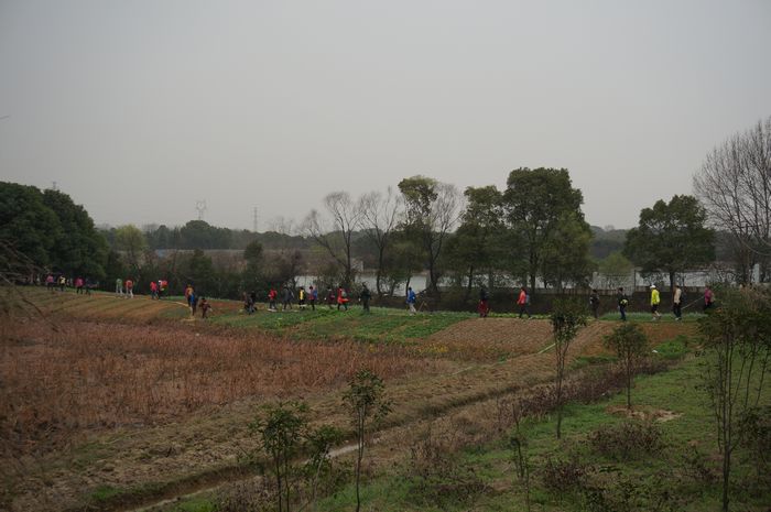 dsc01151.jpg