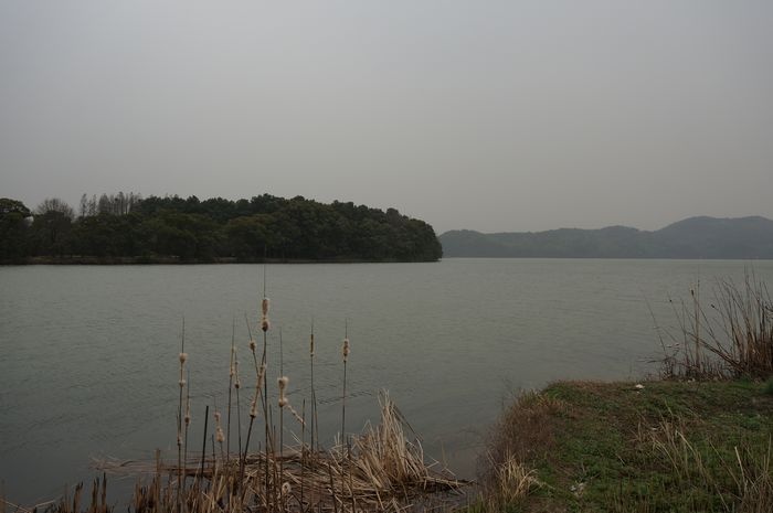 dsc01172.jpg