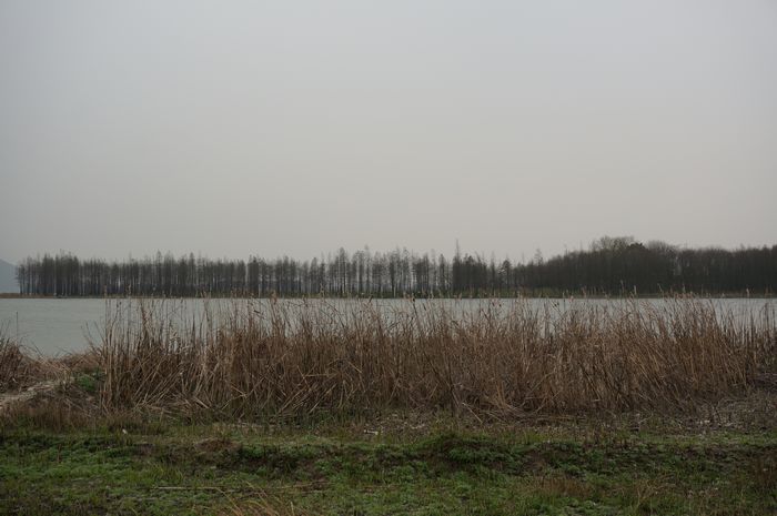 dsc01174.jpg